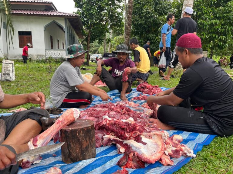 Qurban 2025